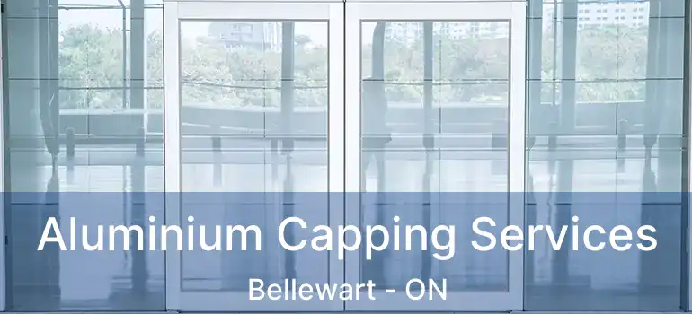  Aluminium Capping Services Bellewart - ON