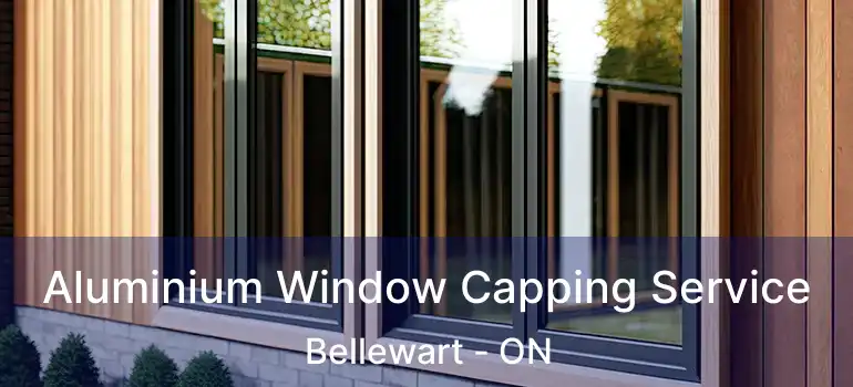  Aluminium Window Capping Service Bellewart - ON