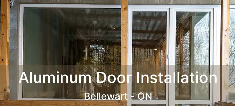  Aluminum Door Installation Bellewart - ON