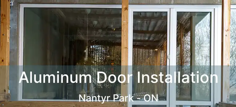  Aluminum Door Installation Nantyr Park - ON
