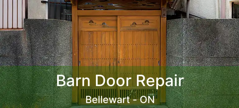  Barn Door Repair Bellewart - ON