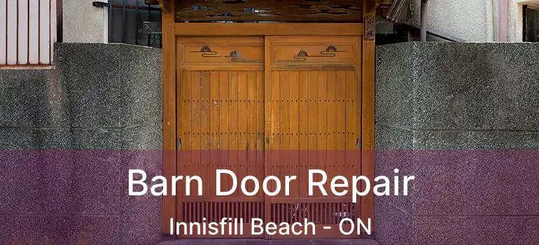 Barn Door Repair Innisfill Beach - ON