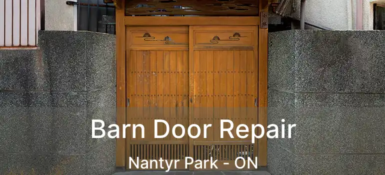 Barn Door Repair Nantyr Park - ON