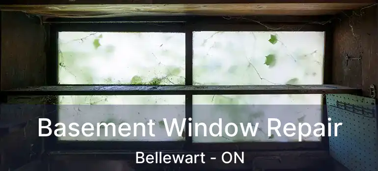  Basement Window Repair Bellewart - ON