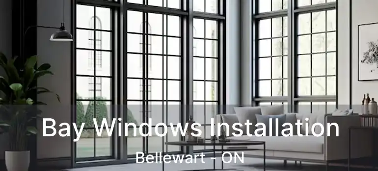  Bay Windows Installation Bellewart - ON