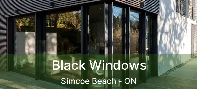  Black Windows Simcoe Beach - ON