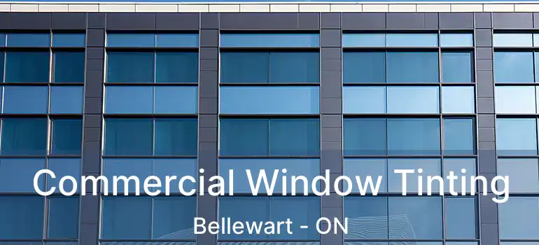  Commercial Window Tinting Bellewart - ON