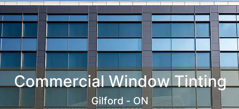  Commercial Window Tinting Gilford - ON