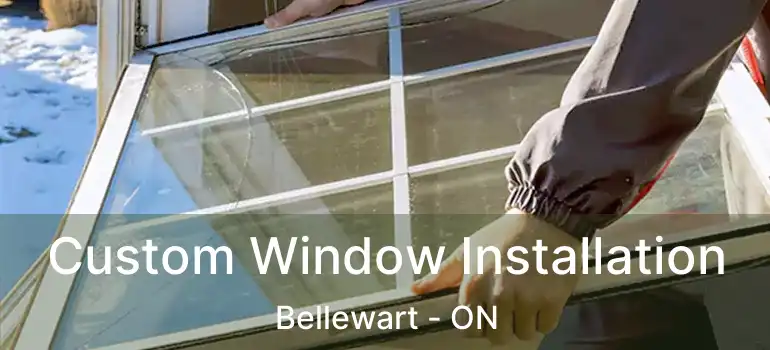  Custom Window Installation Bellewart - ON
