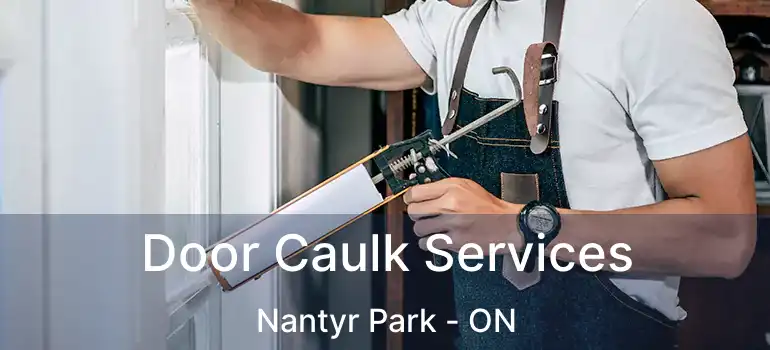  Door Caulk Services Nantyr Park - ON