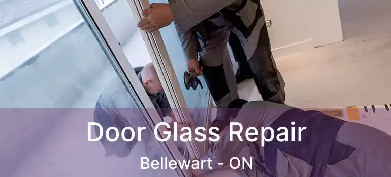  Door Glass Repair Bellewart - ON