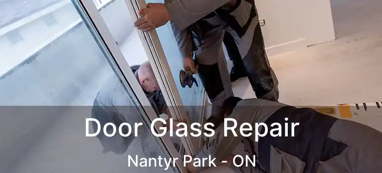  Door Glass Repair Nantyr Park - ON