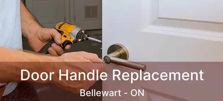  Door Handle Replacement Bellewart - ON