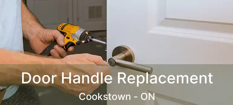  Door Handle Replacement Cookstown - ON