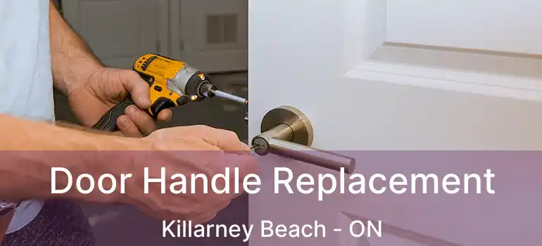  Door Handle Replacement Killarney Beach - ON