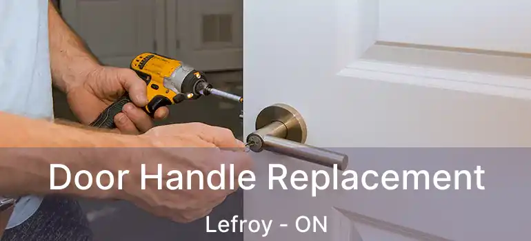  Door Handle Replacement Lefroy - ON