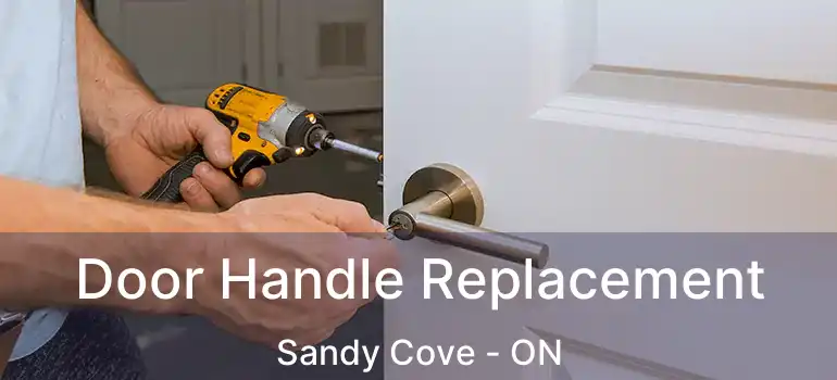  Door Handle Replacement Sandy Cove - ON