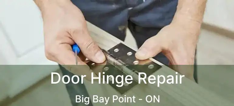  Door Hinge Repair Big Bay Point - ON