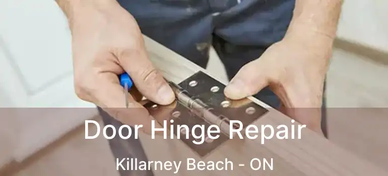  Door Hinge Repair Killarney Beach - ON