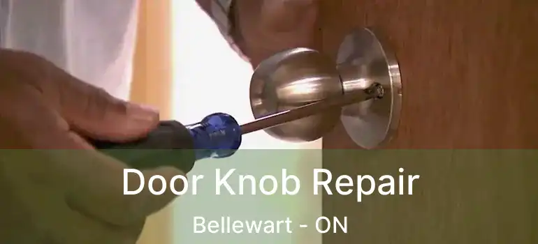  Door Knob Repair Bellewart - ON