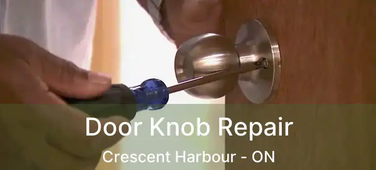  Door Knob Repair Crescent Harbour - ON