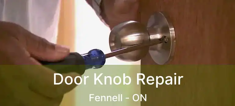  Door Knob Repair Fennell - ON
