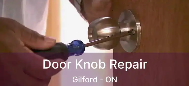  Door Knob Repair Gilford - ON
