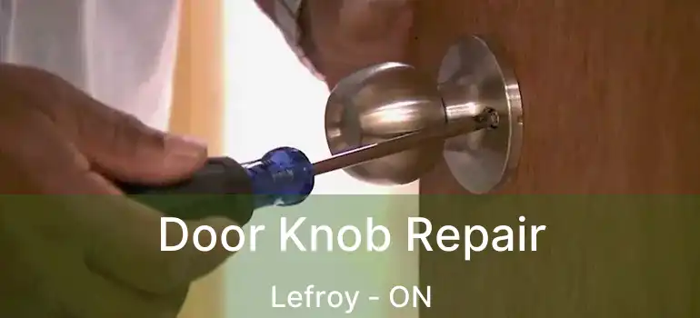  Door Knob Repair Lefroy - ON