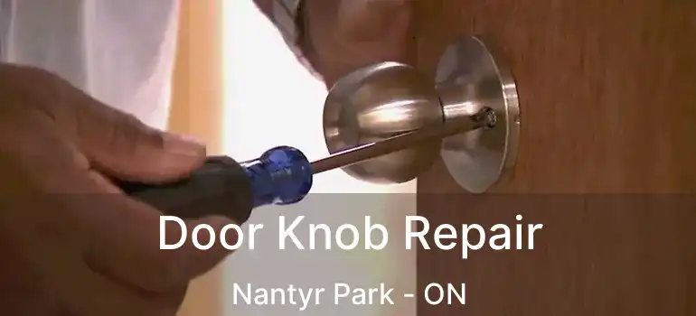  Door Knob Repair Nantyr Park - ON