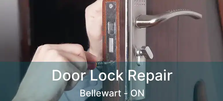  Door Lock Repair Bellewart - ON