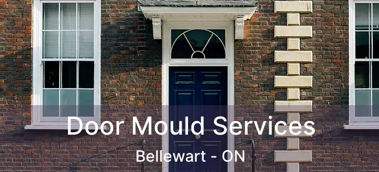  Door Mould Services Bellewart - ON