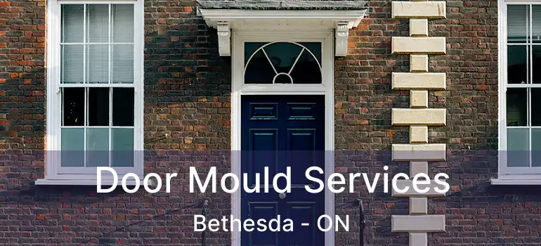  Door Mould Services Bethesda - ON