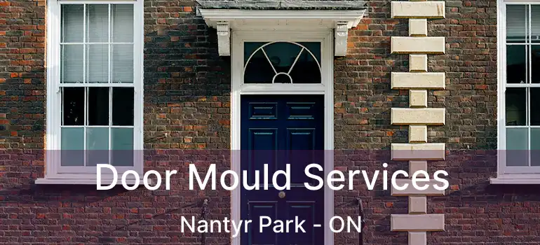  Door Mould Services Nantyr Park - ON