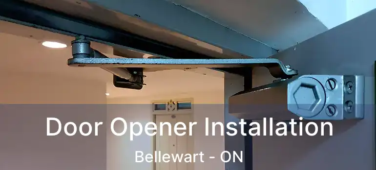  Door Opener Installation Bellewart - ON
