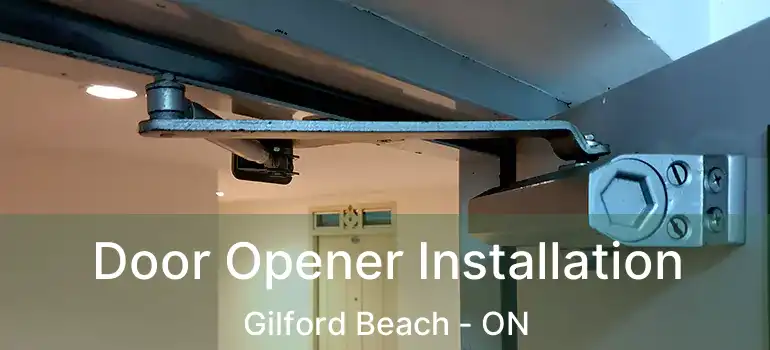  Door Opener Installation Gilford Beach - ON