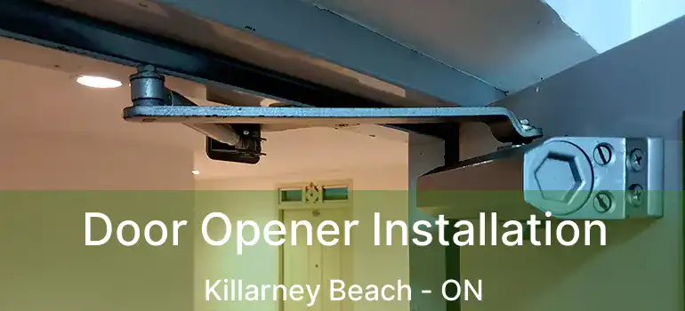  Door Opener Installation Killarney Beach - ON