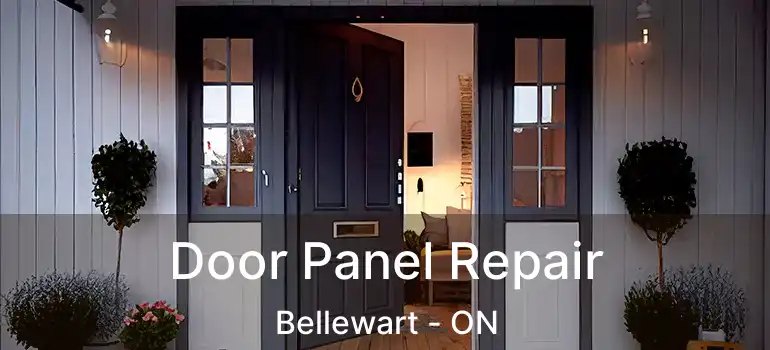  Door Panel Repair Bellewart - ON