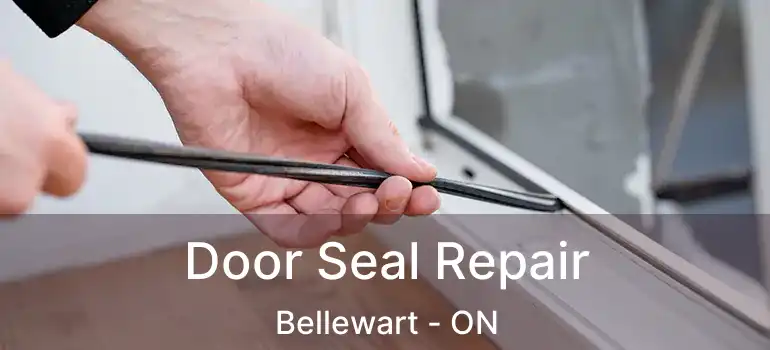 Door Seal Repair Bellewart - ON