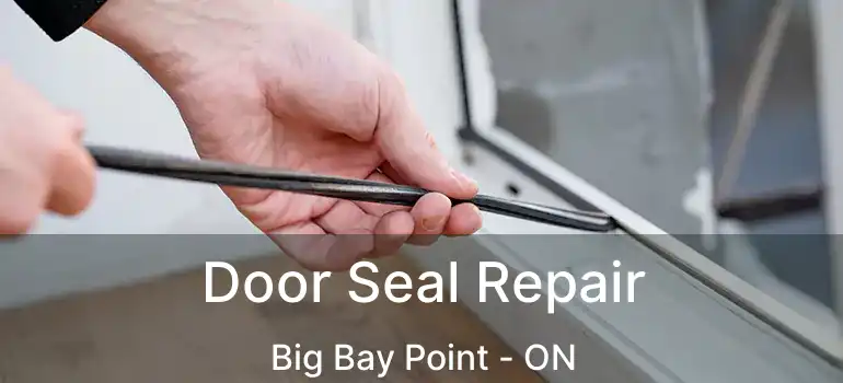  Door Seal Repair Big Bay Point - ON