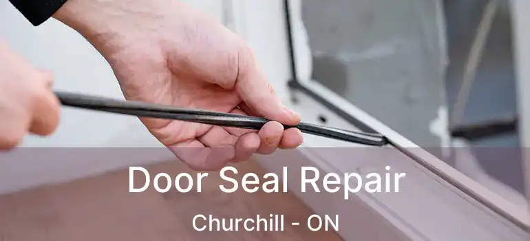  Door Seal Repair Churchill - ON