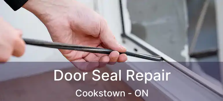  Door Seal Repair Cookstown - ON