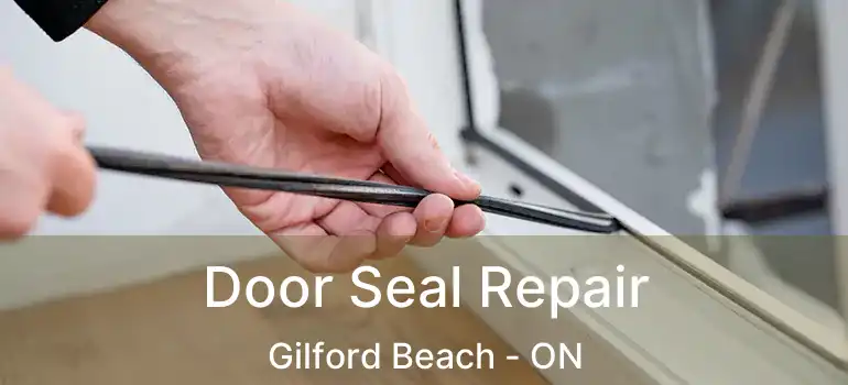  Door Seal Repair Gilford Beach - ON