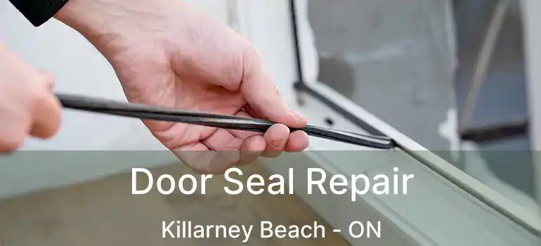  Door Seal Repair Killarney Beach - ON
