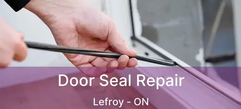 Door Seal Repair Lefroy - ON