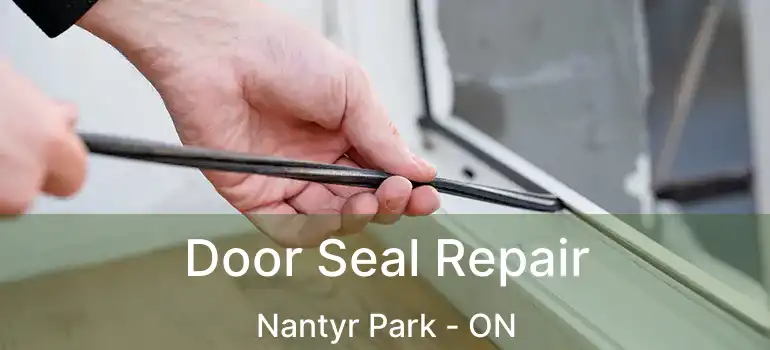  Door Seal Repair Nantyr Park - ON