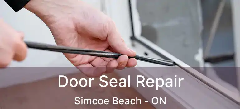  Door Seal Repair Simcoe Beach - ON