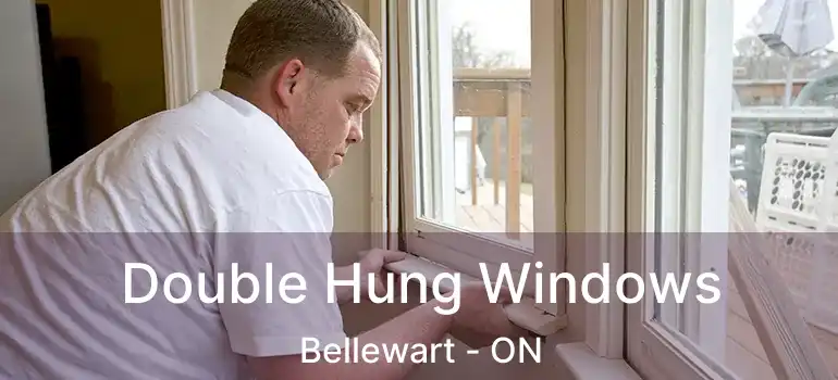  Double Hung Windows Bellewart - ON