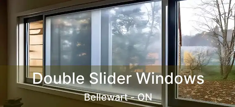  Double Slider Windows Bellewart - ON