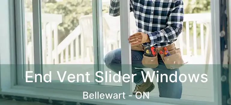  End Vent Slider Windows Bellewart - ON
