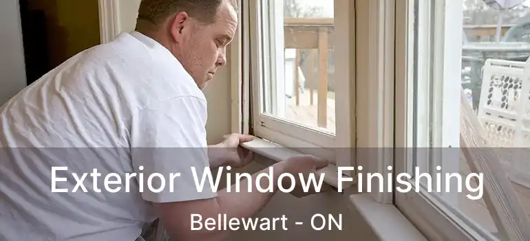  Exterior Window Finishing Bellewart - ON